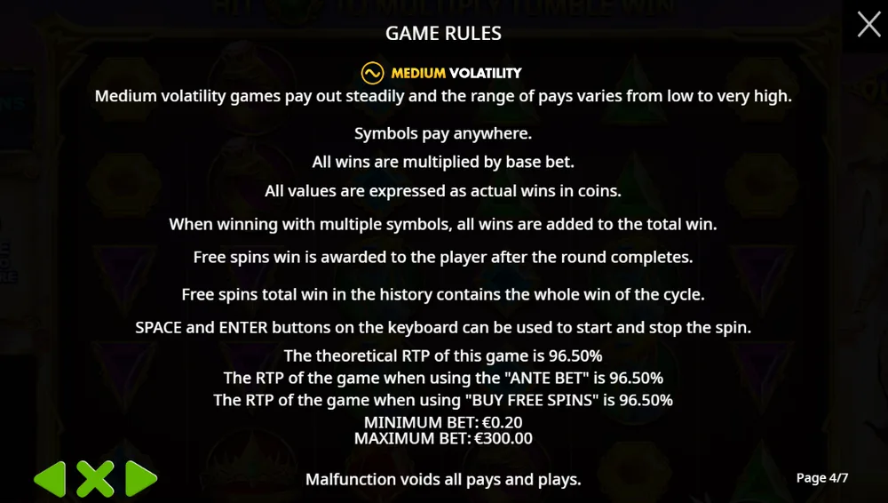 Gates of Olympus rules page 4: Medium volatility label, theoretical RTP 96.50%, RTP with Ante Bet 96.50%, RTP with Buy Free Spins 96.50%, minimum bet €0.20 and maximum bet €300